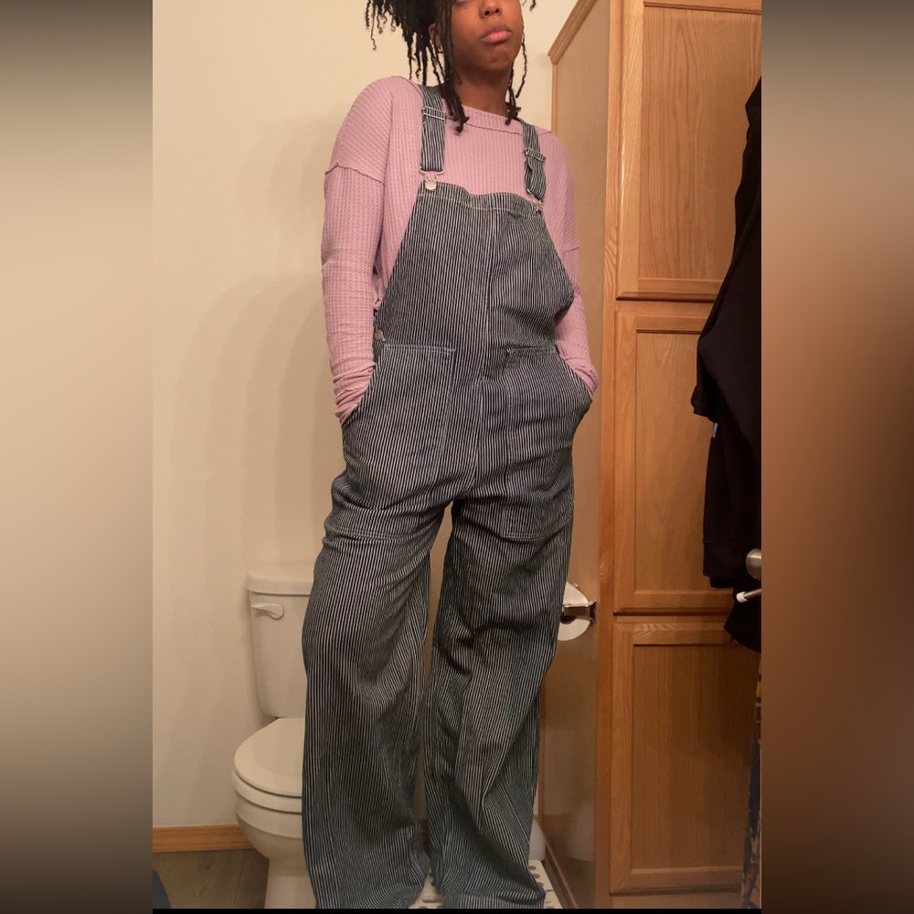 Everlane pinstripe gardener overalls
